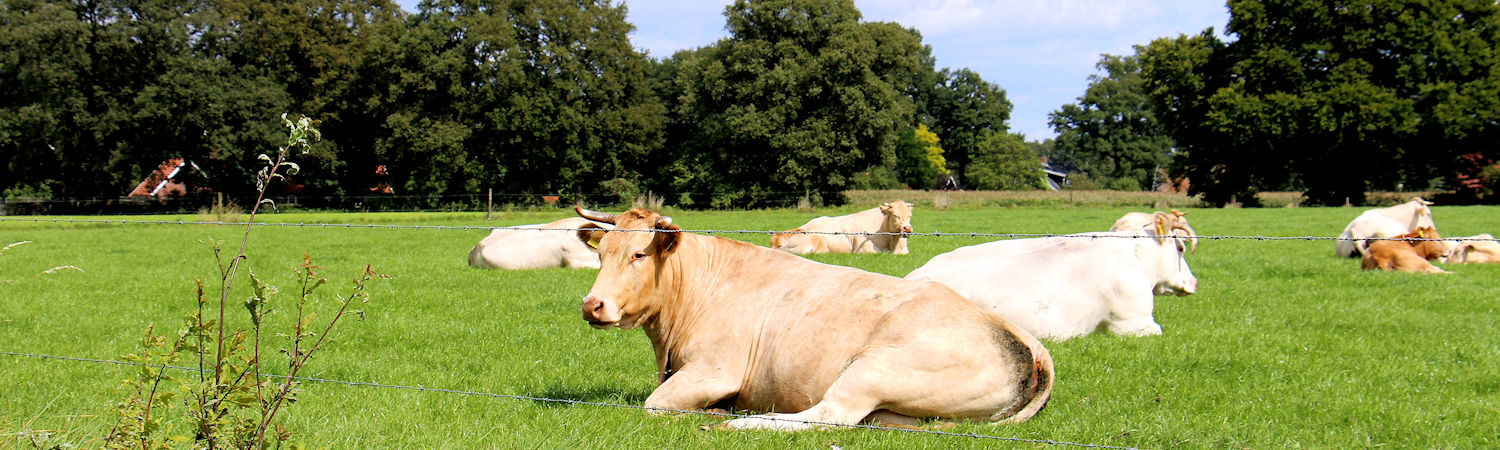 Welkom in Rossum Overijssel